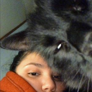 Meet your Posher, Kylie